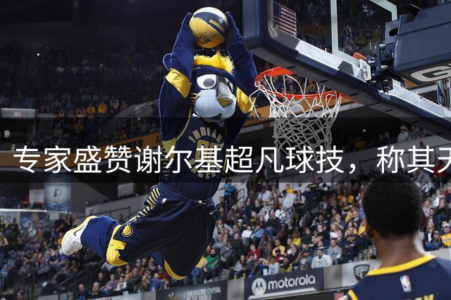 专家盛赞谢尔基超凡球技，称其天赋异禀