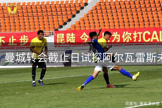 曼城转会截止日试探阿尔瓦雷斯未果
