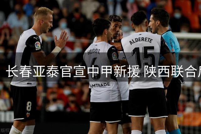 长春亚泰官宣中甲新援 陕西联合后卫王维朴租借加盟